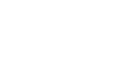 Presisi